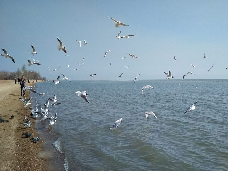 Маріуполь, Азовське море